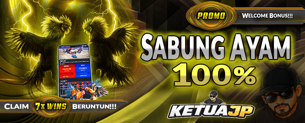SABUNG AYAM 100%